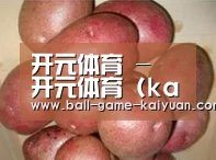 产品展示标题1
