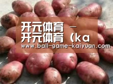 产品展示标题5