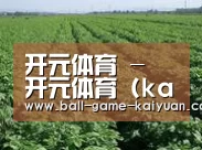 种植基地五(图1)