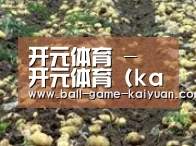 种植基地八(图1)