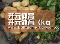 产品展示标题4