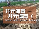 种植基地八